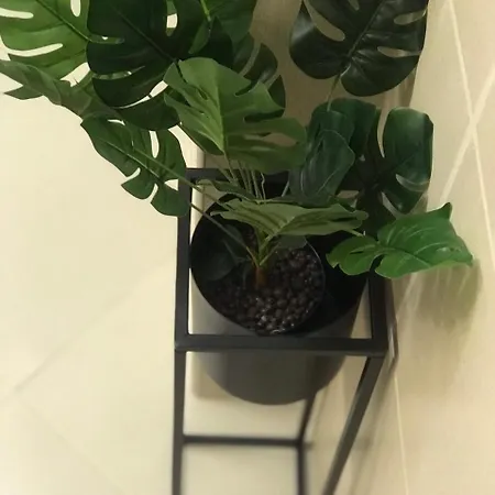 New Apartment *